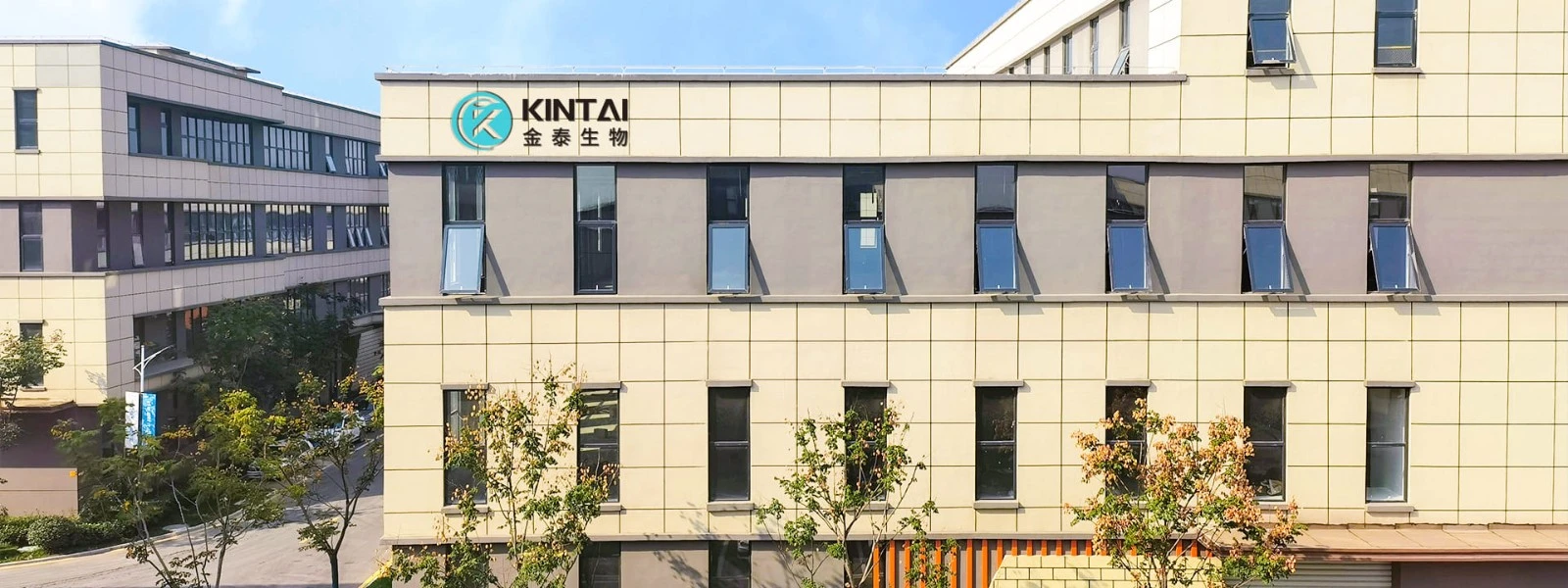 Kintai GMP workshop NEW.jpg