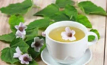 Marshmallow tea