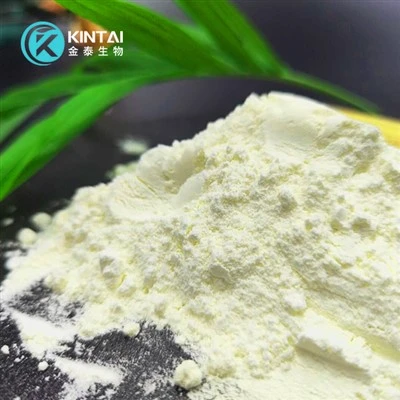بروتين بذور البطيخ