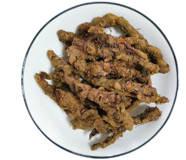Sichuan Coptis Chinensis Sichuan Coptis Chinensis