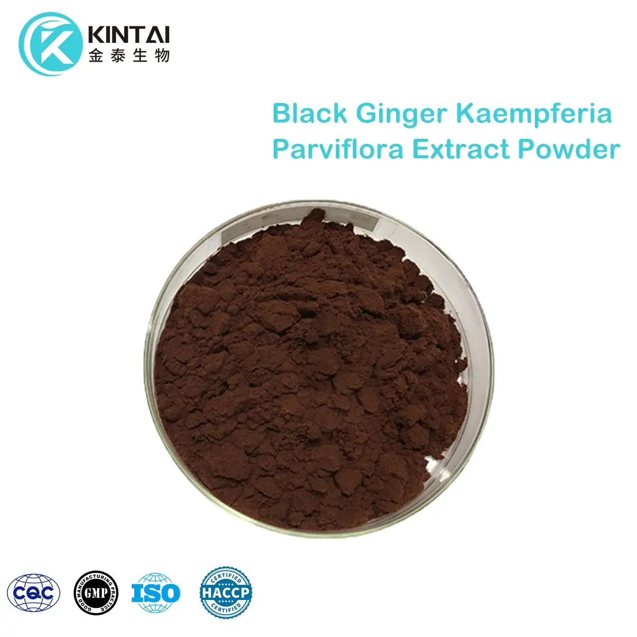 مسحوق مستخلص الزنجبيل الأسود Kaempferia Parviflora